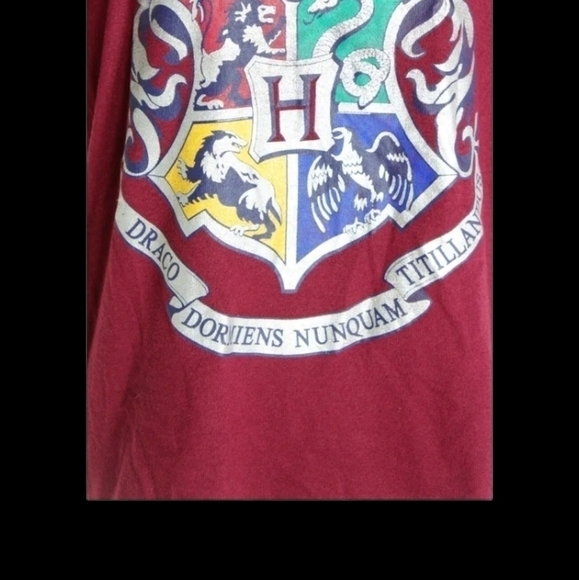 Harry Potter Hogwarts med 8-10 sleepwear or pullover Dracocoat of Arms graphic - Picture 4 of 14